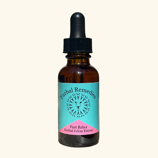 Anxiety — Feline Fast Relax Extract for Cats | Natural Cat Calming Drops