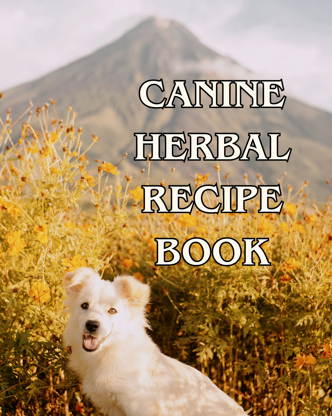 Herbal Recipe Book for Dogs — Real Food You Can Make at Home