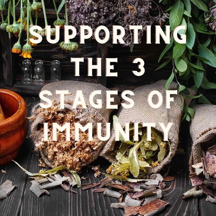 How To Support Your 3 Stages Of Immunity
