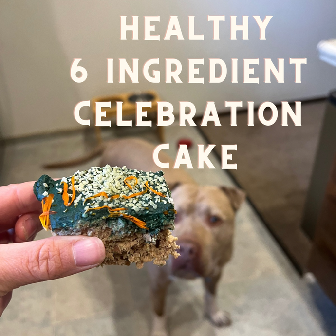 6 Ingredient birthday cake of your dog's dreams - healthy & nourishing