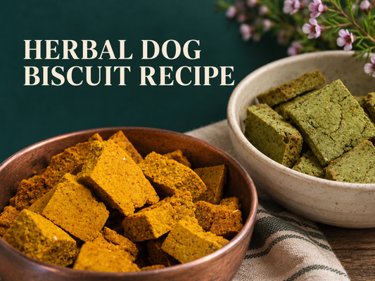 Herbal dog biscuits in bowls.