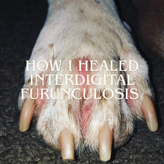 How We Healed Interdigital Furunculosis Naturally