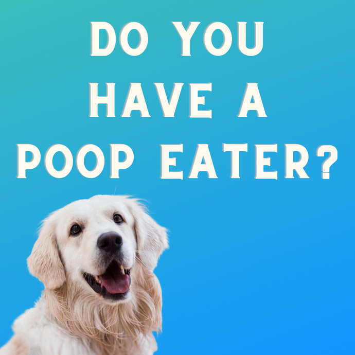 Do You Have A Poop Eater?