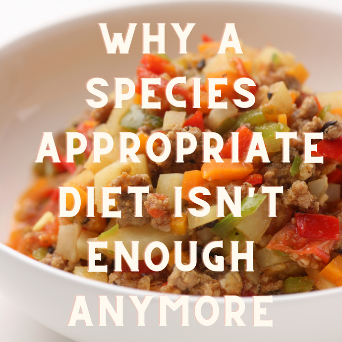 Why A Species Appropriate Diet Isn't Enough Anymore