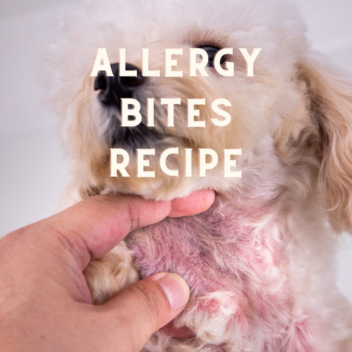 Allergy Bite Recipes
