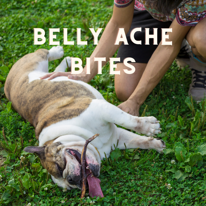 Belly Ache Bites Recipe