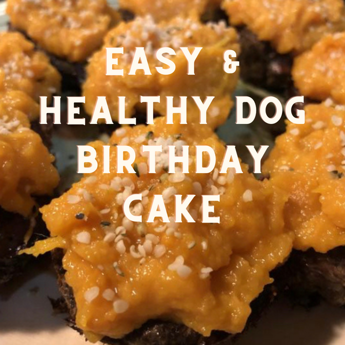 Easy & Healthy Dog Birthday Cake