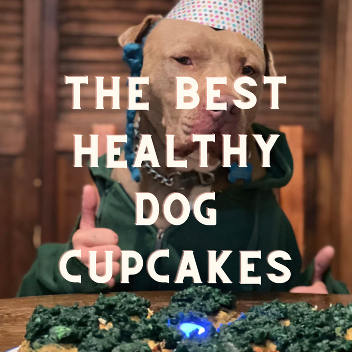 Healthy, Holistic, Meat Based Dog Cupcake Treats Recipe