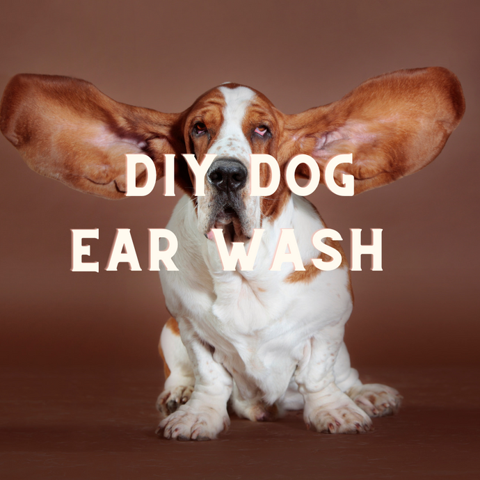 DIY Herbal Ear Wash For Angry, Red, Infected Ears