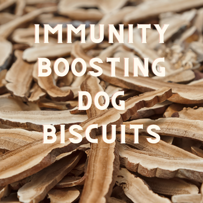 DIY Immunity Boosting Dog Biscuits Recipe