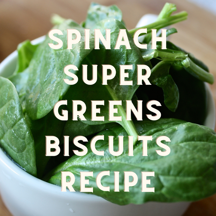 Recipe: Spinach Super Green Dog Biscuits