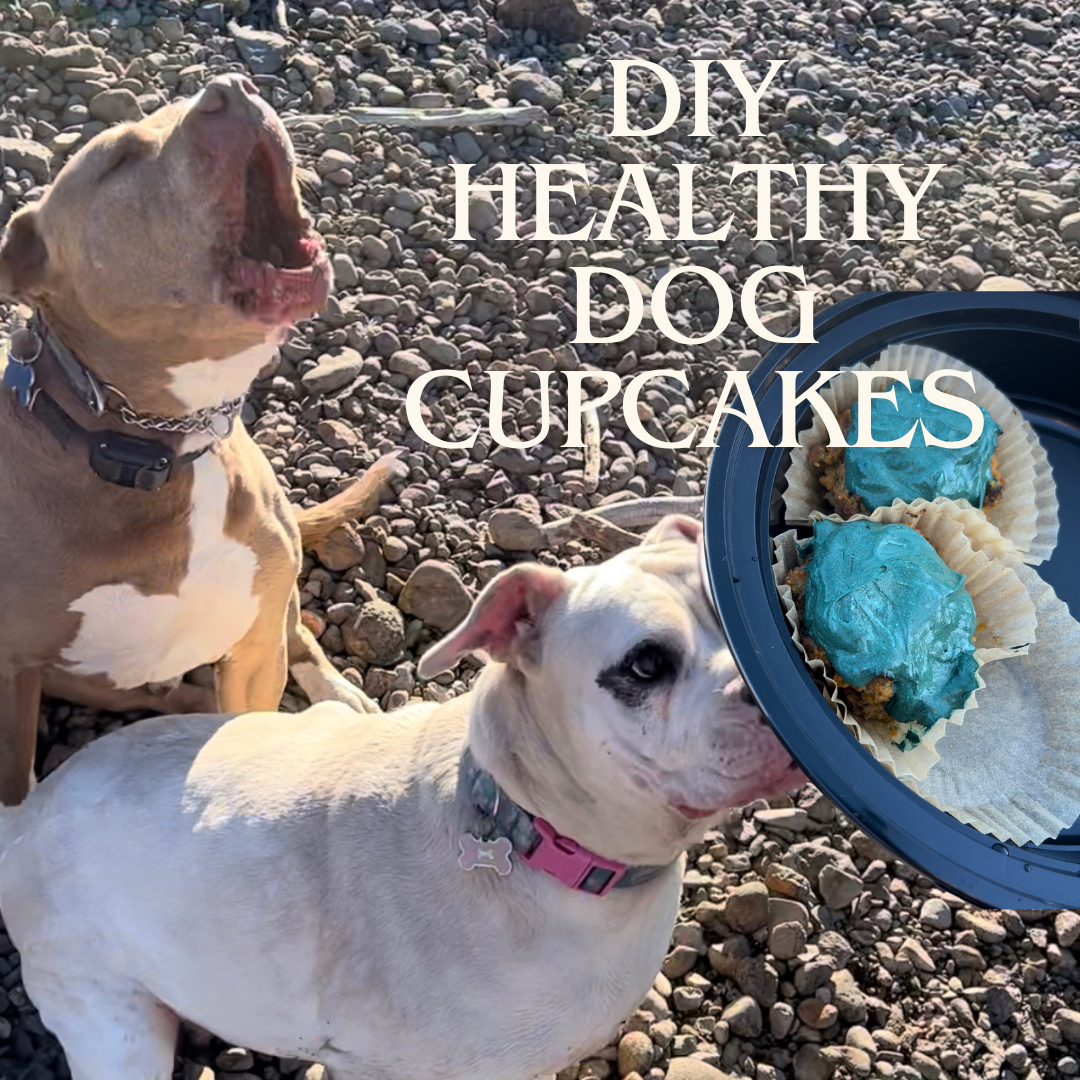 How To Make Your Dog Healthy Cupcakes (that aren't full of artificial ingredients & sugar!)