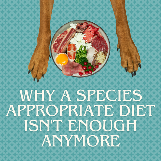 Why A Species Appropriate Diet Isn't Enough Anymore