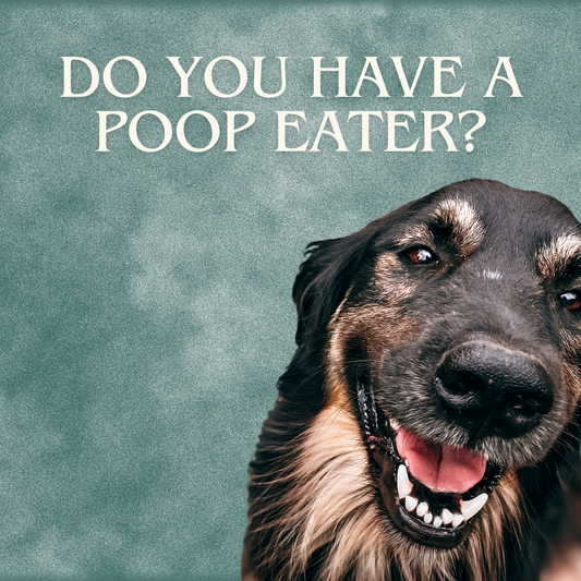 Do You Have A Poop Eater?