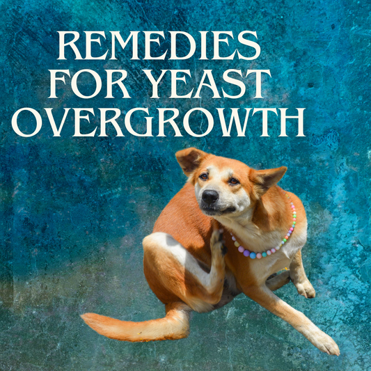 Top Internal Remedies For Yeast Overgrowth