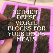 Nutrient Dense Veggie Blocks