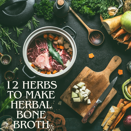 12 Herbs To Make Herbal Broth For You & Your Dog