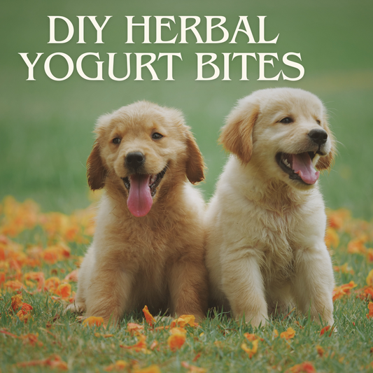 DIY Herbal Yogurt Bites