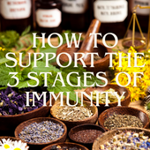 How To Support The 3 Stages Of Immunity