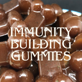 DIY Immunity Building Gummy Dog Food Toppers Recipe