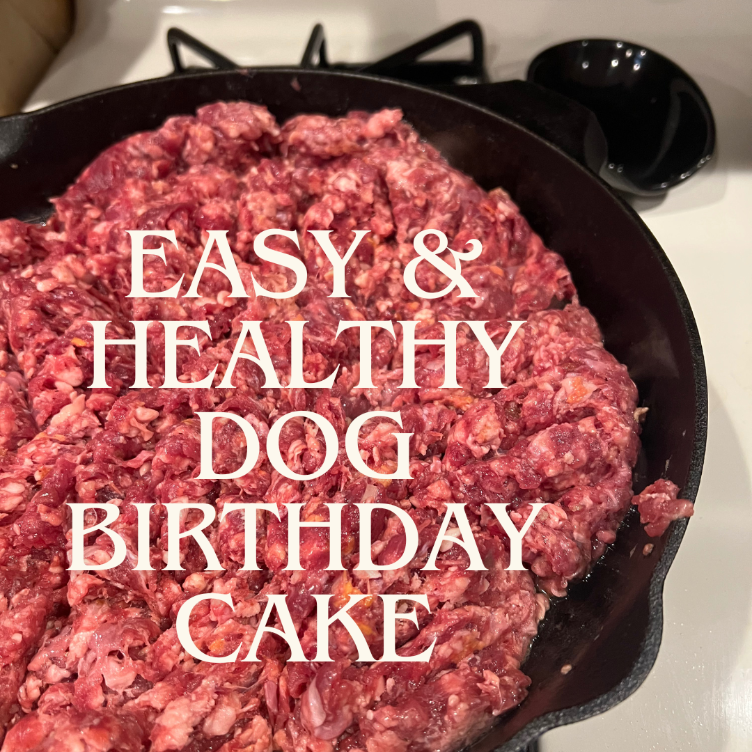 Easy & Healthy Dog Birthday Cake