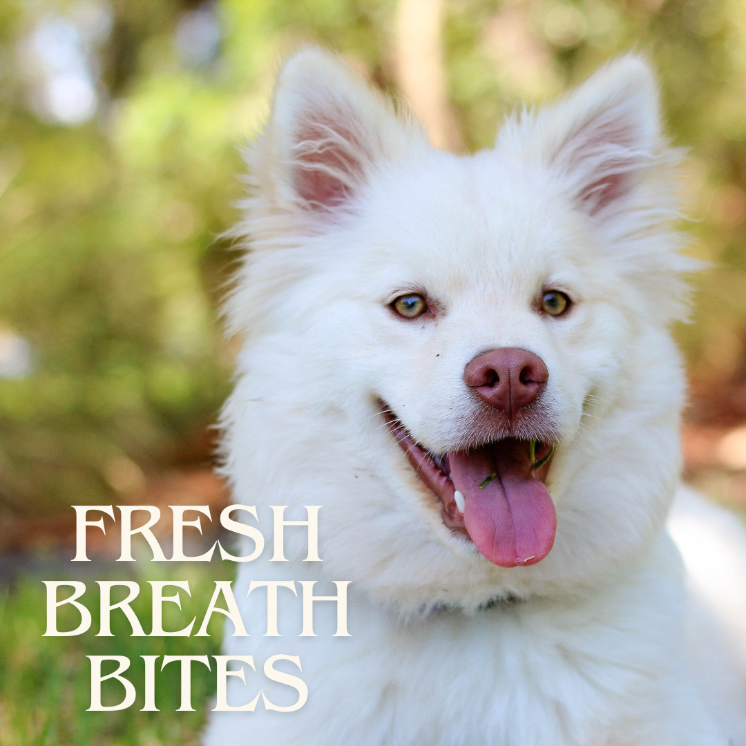 DIY Doggo Fresh Breath Bites