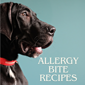 Allergy Bite Recipes