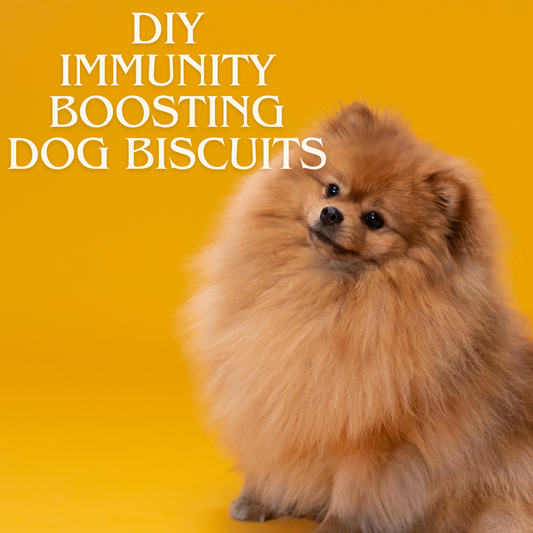 DIY Immunity Boosting Dog Biscuits Recipe