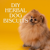 DIY Herbal Dog Biscuits Recipe