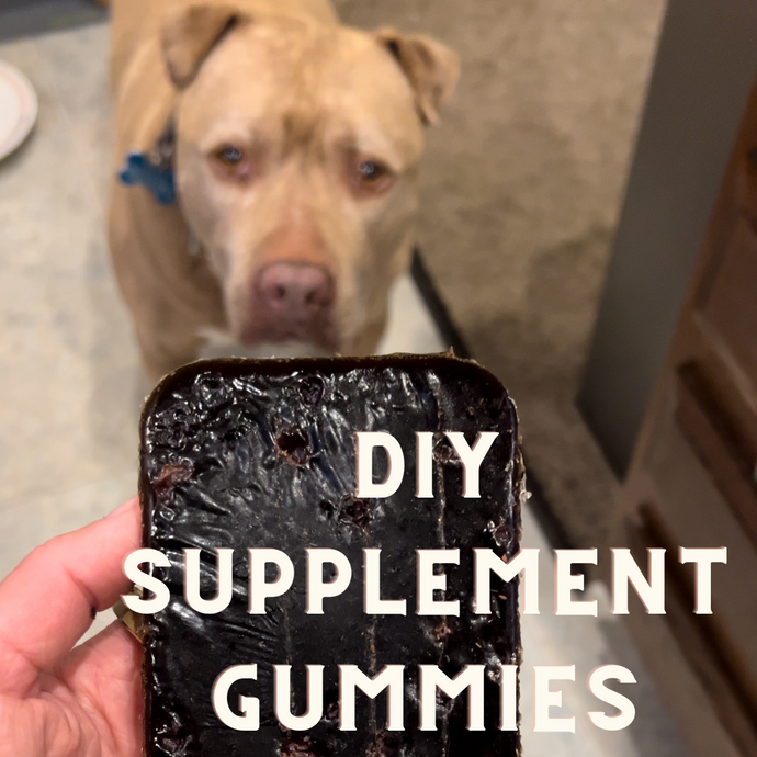 DIY: How to Make Your Dog Herbal Gummy Supplements