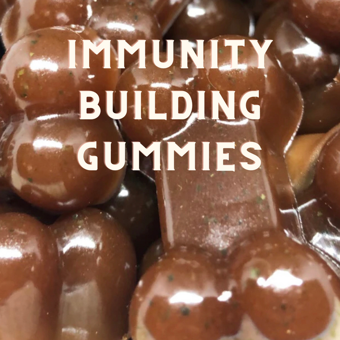 DIY Immunity Building Gummy Dog Food Toppers Recipe