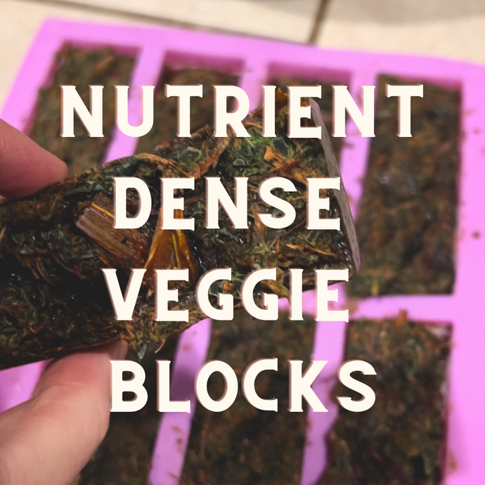 Nutrient Dense Veggie Blocks