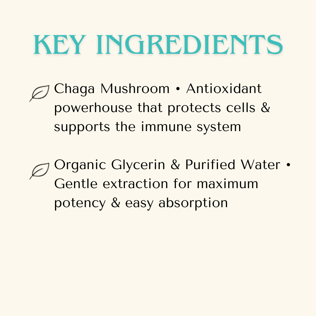 Immune Support — Chaga Mushroom Extract for Dogs & Cats