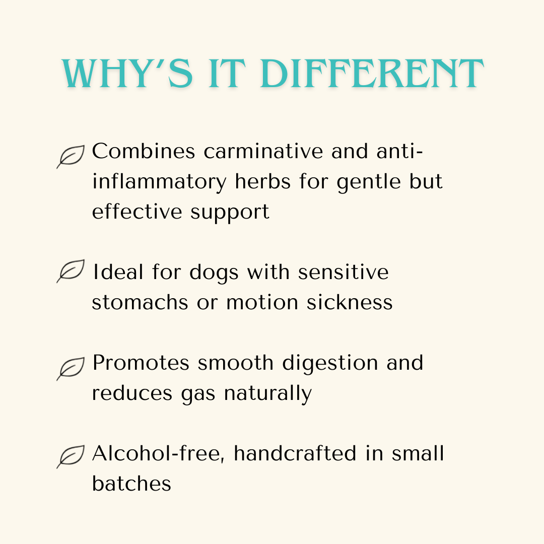 Digestive Health — Tummy Tonic Extract for Dogs & Cats | Herbal Gut Soother