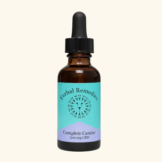 Dense Nutrition - Optimal Wellness — Complete Canine Plus+ CBD Extract for Dogs | Herbal Multivitamin & Whole-Body Support