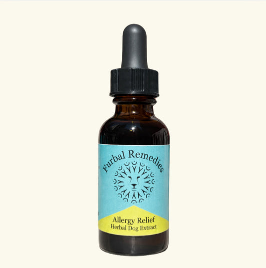 Allergy Relief — Allergy Relief Extract for Dogs | Itchy Skin & Seasonal Allergy Support