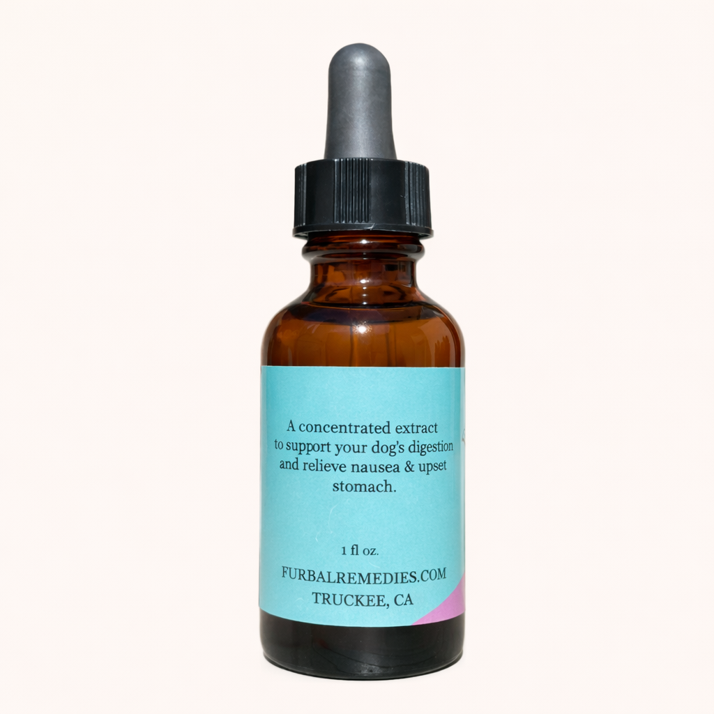 Digestive Health — Tummy Tonic Extract for Dogs & Cats | Herbal Gut Soother