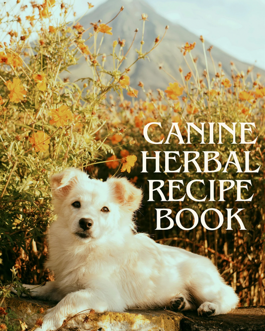 x3. Canine Herbal Recipe Book - Free Download