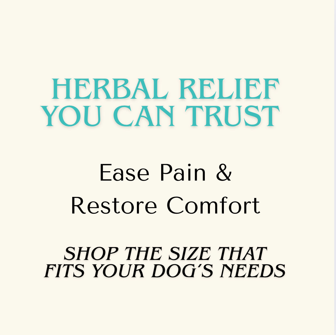 CBD Oil for Pain Relief and Anxiety for Dogs & Cats