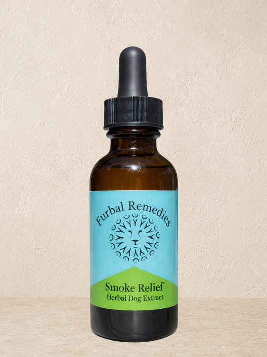 Respiratory Support — Smoke Relief Extract for Dogs & Cats