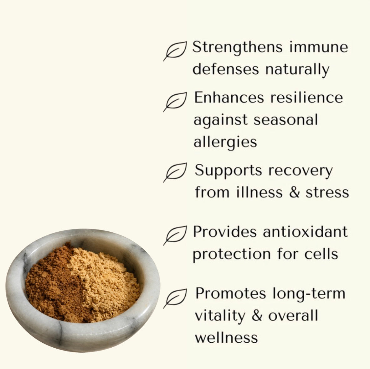 Immune Support — Mushroom Immunity Powder for Dogs & Cats