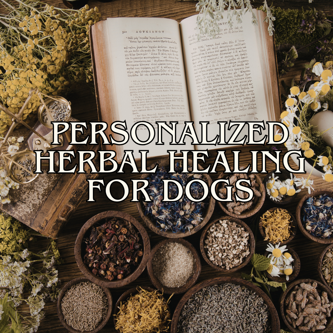 1-on-1 Personalized Herbal Healing Container for Dogs