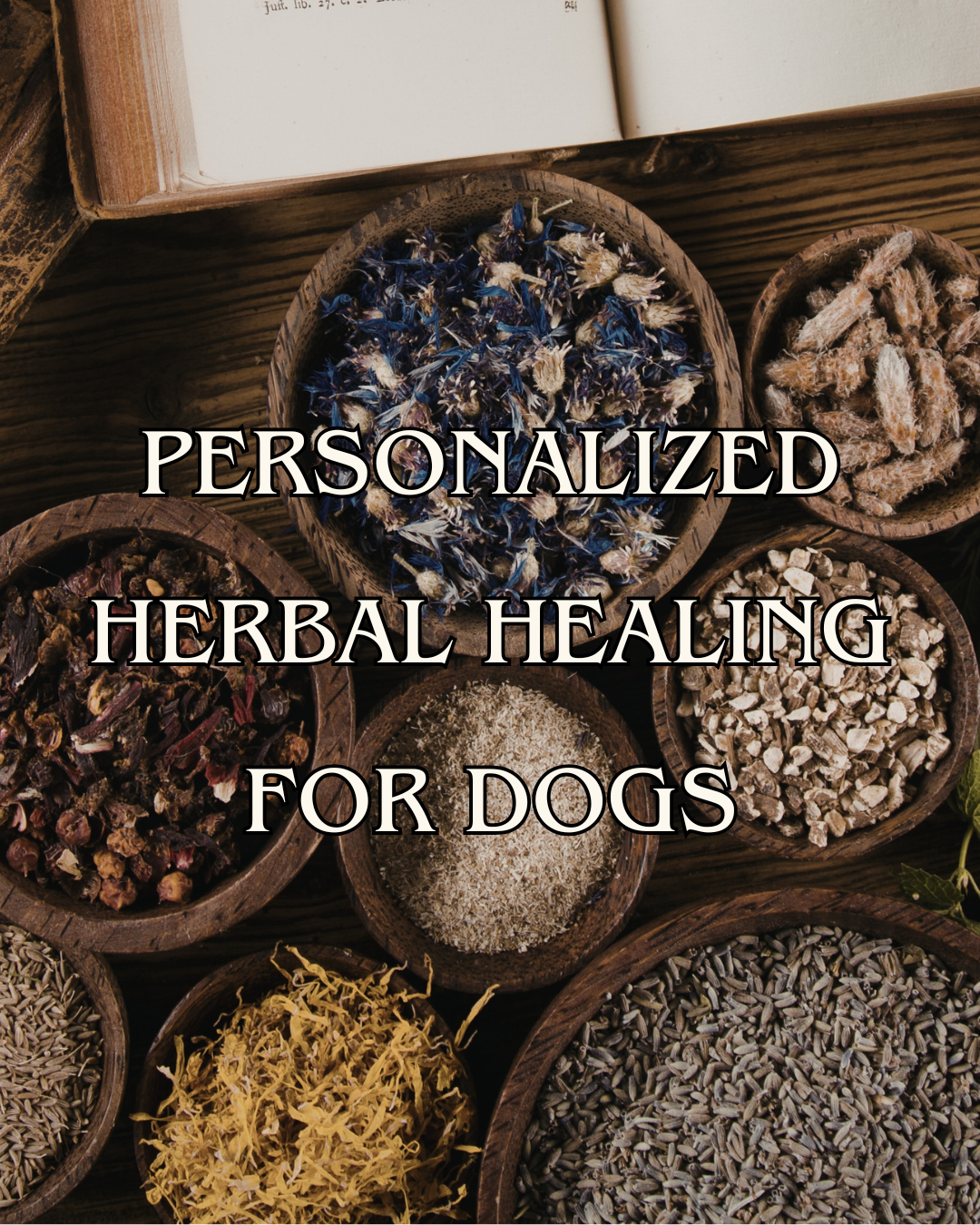 1-on-1 Personalized Herbal Healing Container for Dogs