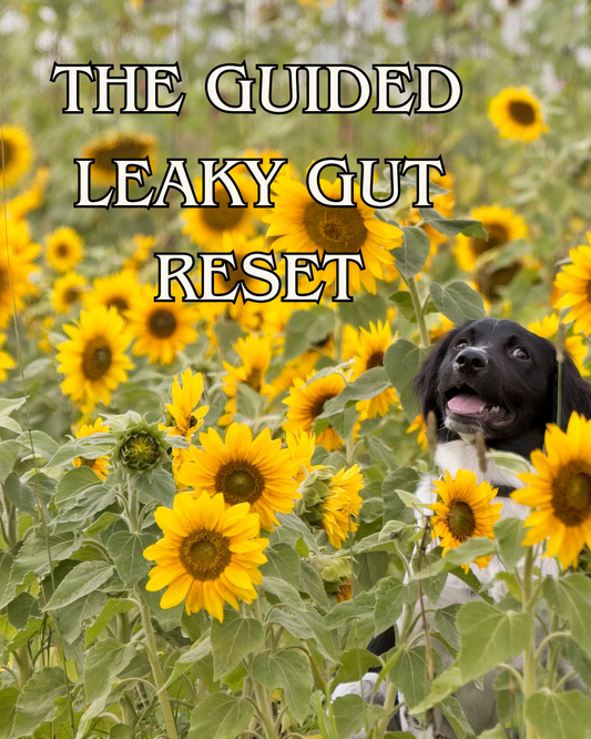 Digestive Intolerances: The Guided Leaky Gut Reset