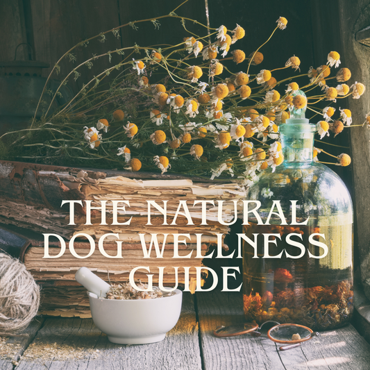 The Natural Dog Wellness Starter Guide