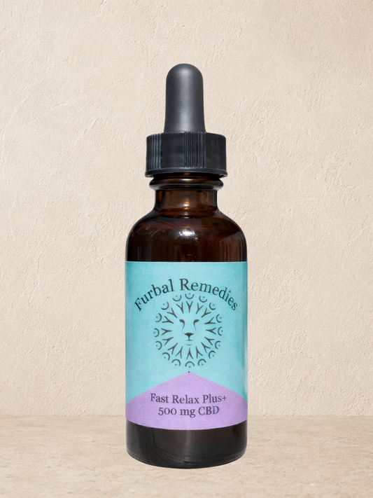 Anxiety — Fast Relax Plus+ CBD Extract for Dogs | Herbal CBD Calming Drops