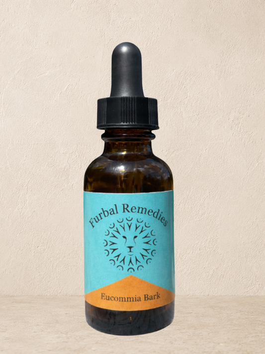 Joint Support — Eucommia Bark Extract for Dogs & Cats