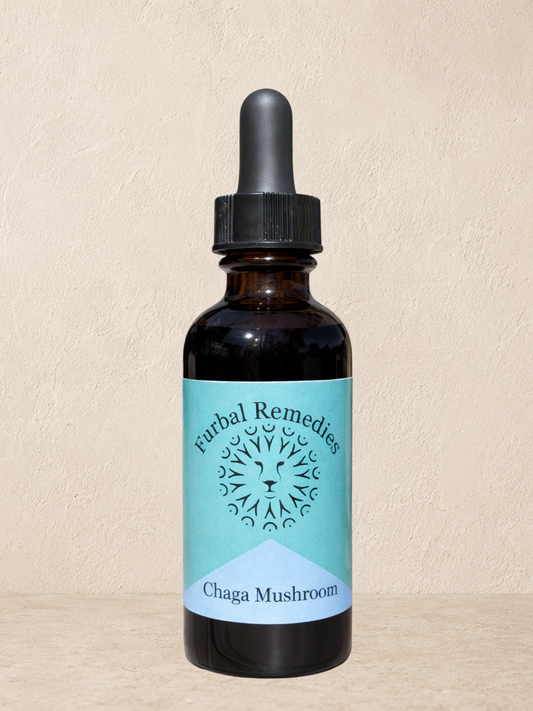 Immune Support — Chaga Mushroom Extract for Dogs & Cats