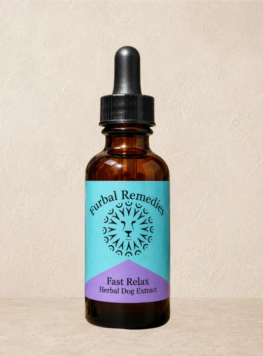 Anxiety — Fast Relax Extract for Dogs | Herbal Dog Anxiety Relief