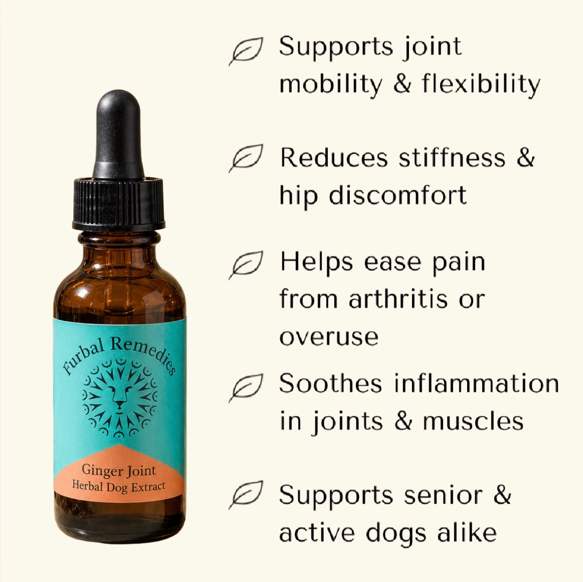 Joint Support — Ginger Joint Extract for Dogs & Cats